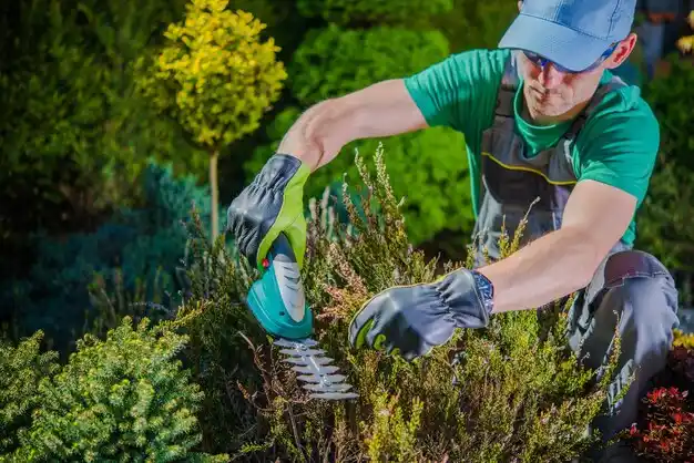 landscaping services Cass City